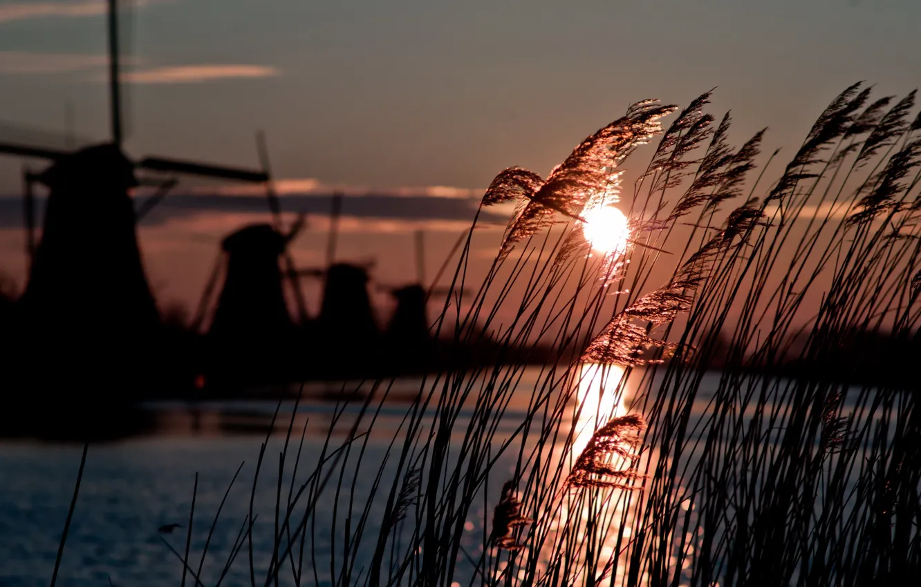 Фото обои winter, sun, windmill, cold, atmosphere, holland