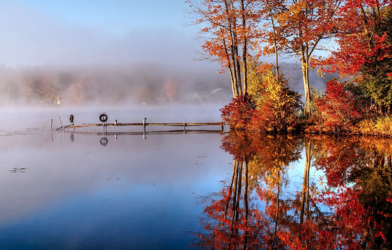 Фото обои осень, туман, озеро, утро, мостик