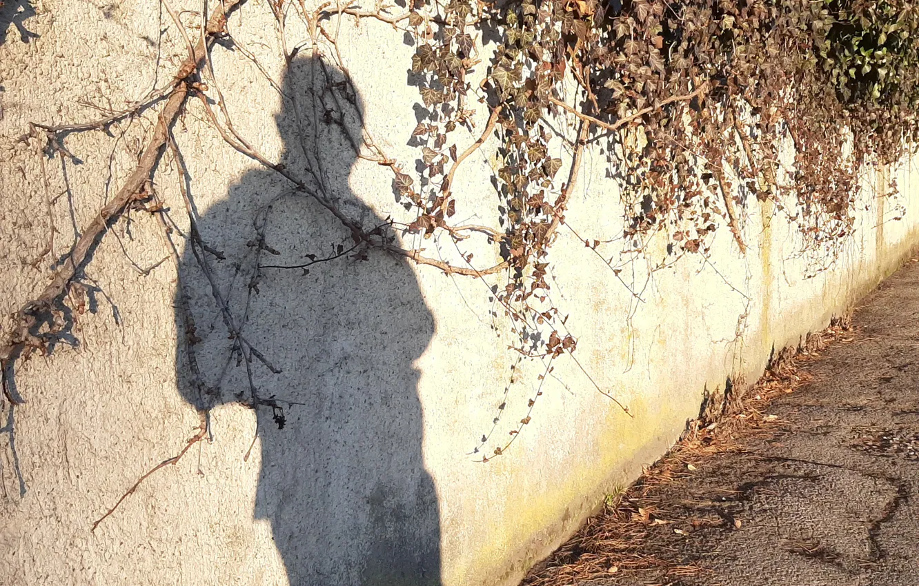 Фото обои wall, winter, man, shadow, walking, february