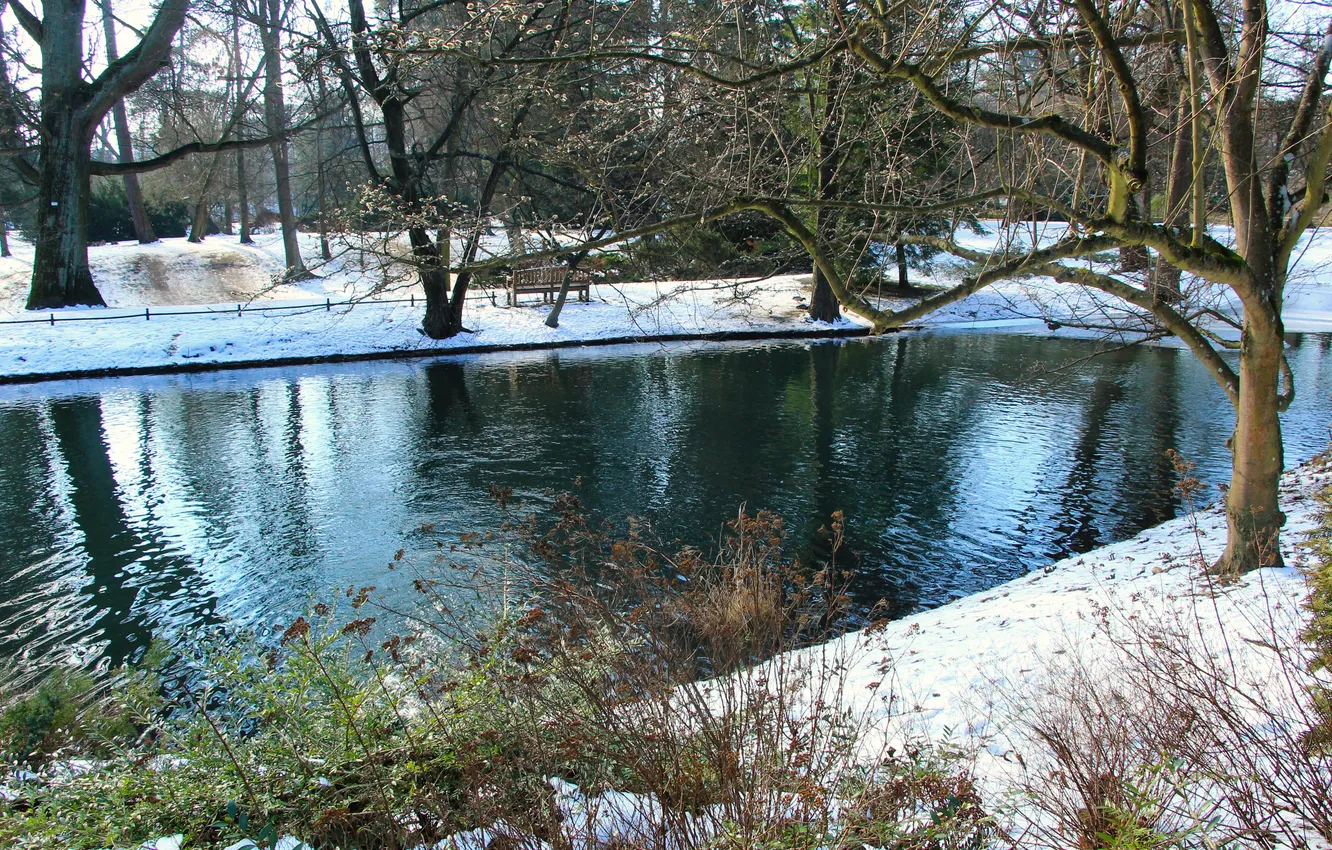 Фото обои trees, water, park, winter, pond