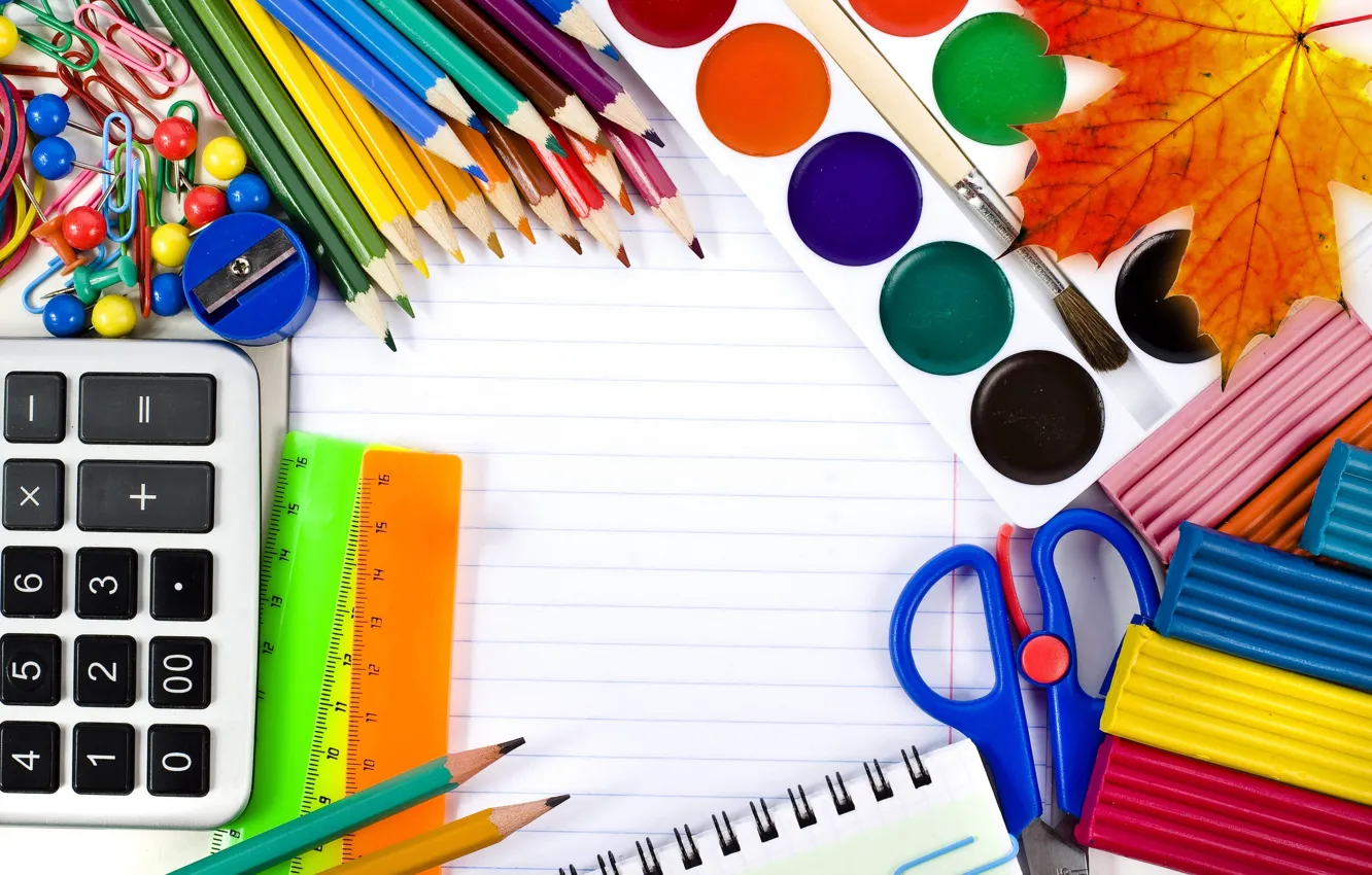 Фото обои краски, карандаши, школа, пластилин, 1 сентября