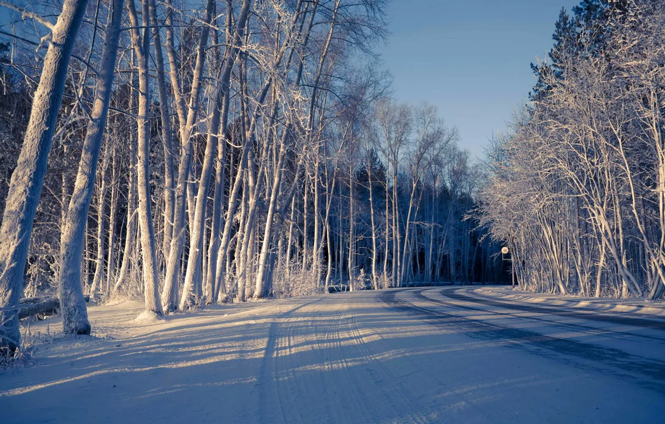 Фото обои зима, дорога, лес, снег