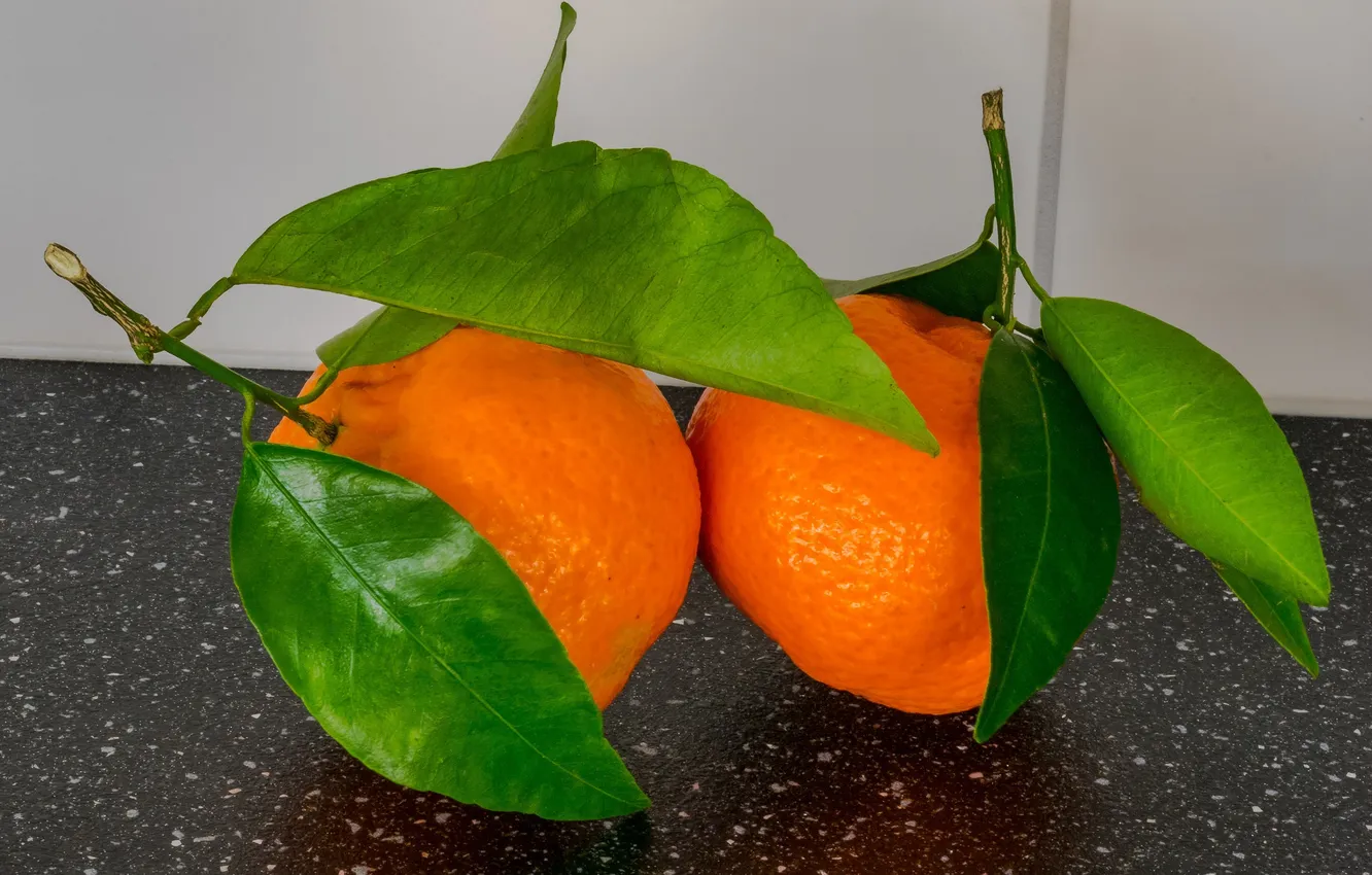Фото обои листья, цитрус, плод, мандарин