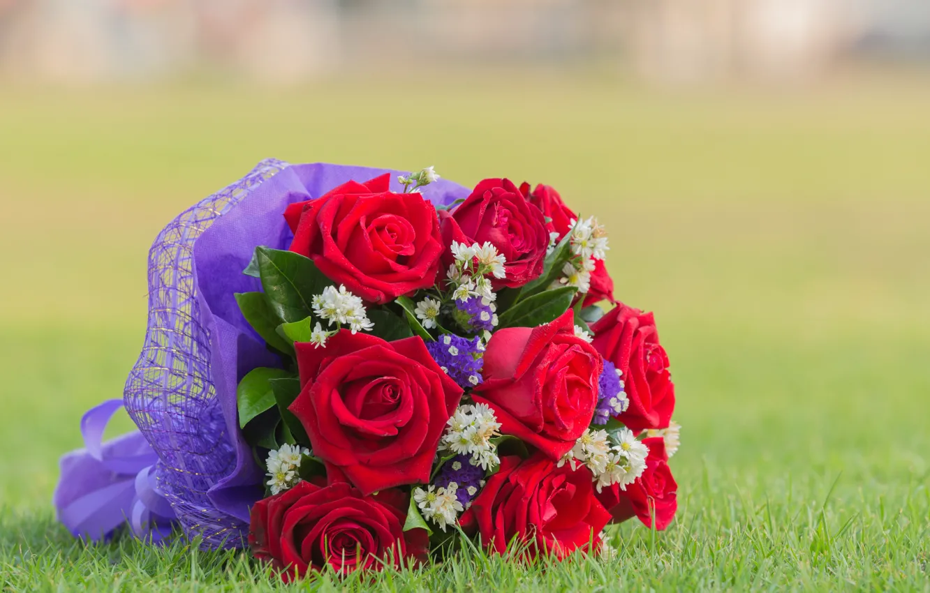 Фото обои трава, цветы, розы, букет, красные, red, flowers, bouquet
