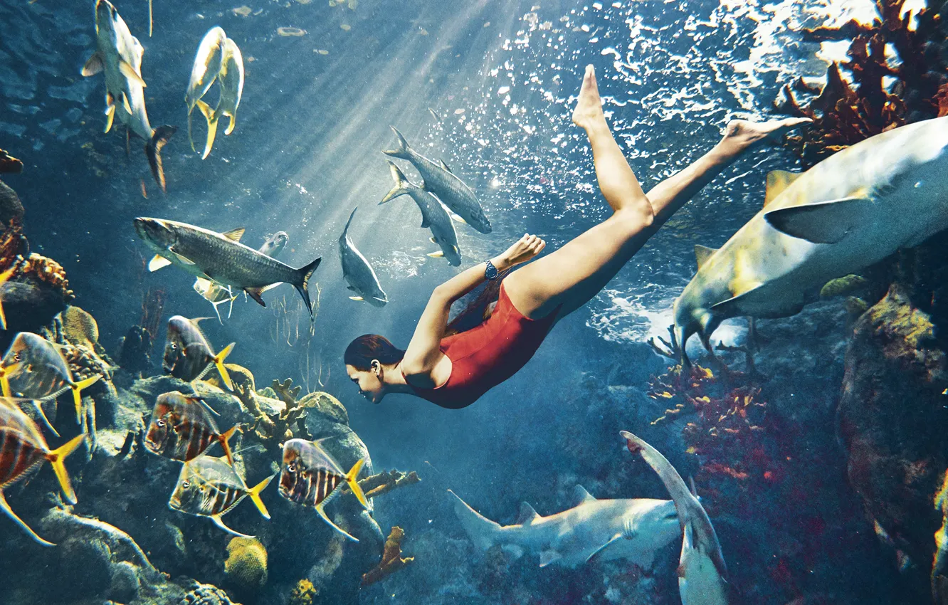 Фото обои море, купальник, рыбы, красный, модель, актриса, кораллы, брюнетка
