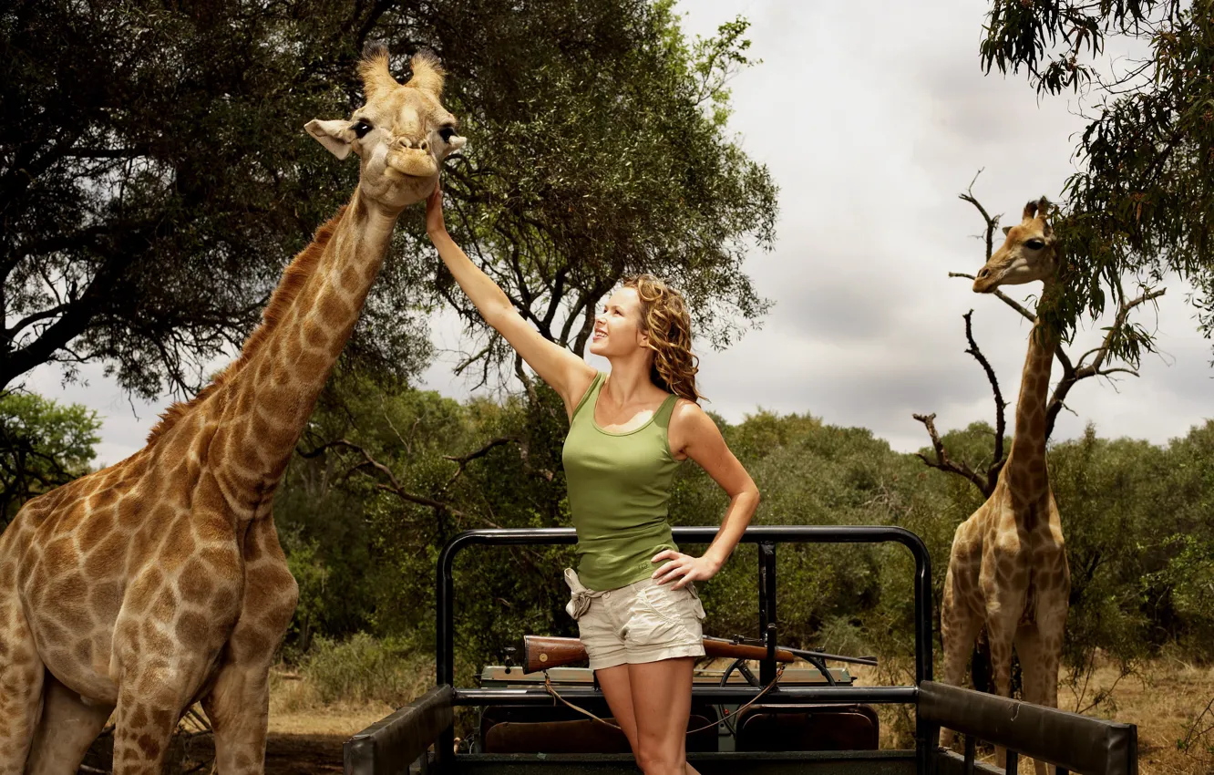 Фото обои Actress, Giraffes, Giraffe, Amanda Holden, Wild at Heart