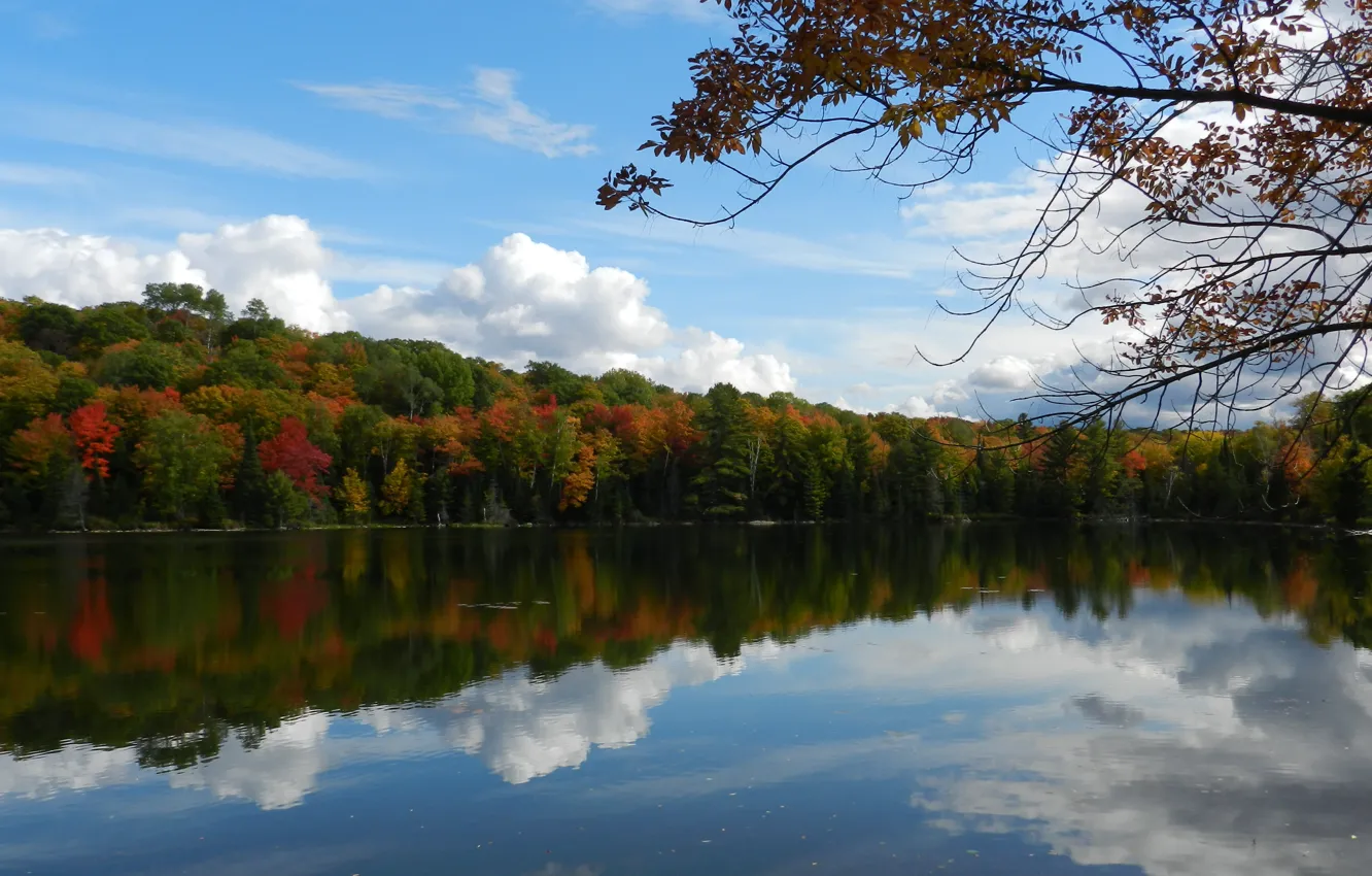 Фото обои nature, autumn, lake