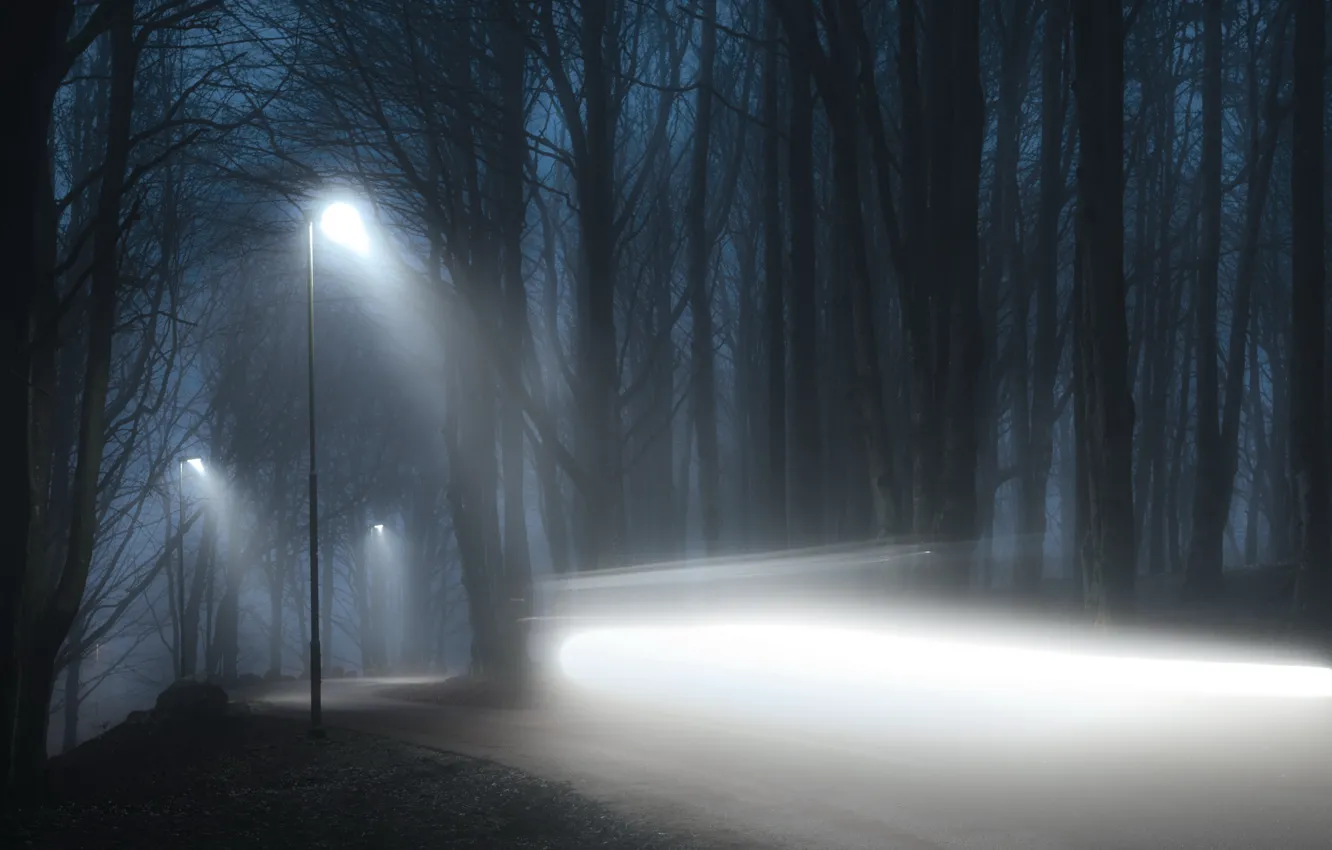 Фото обои дорога, свет, ночь, туман
