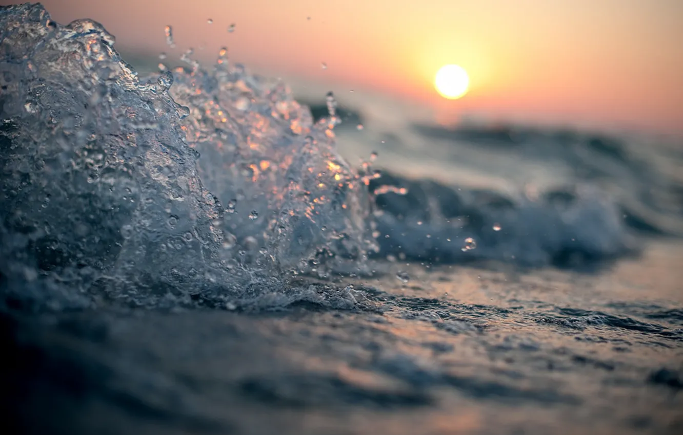 Фото обои море, вода, солнце, капли, макро, закат, волна