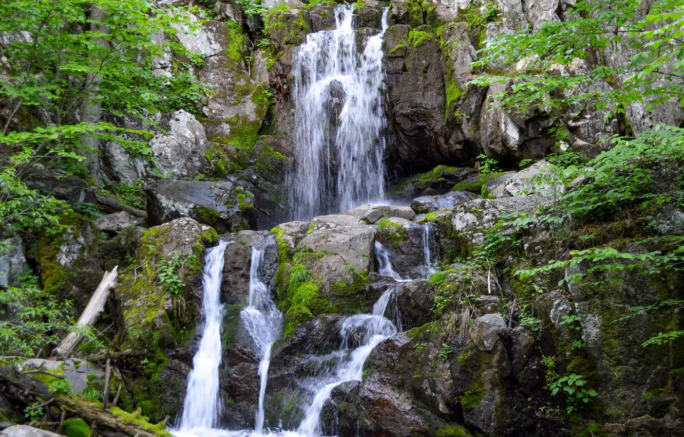 Фото обои скала, ручей, водопад, мох, США, Shenandoah National Park