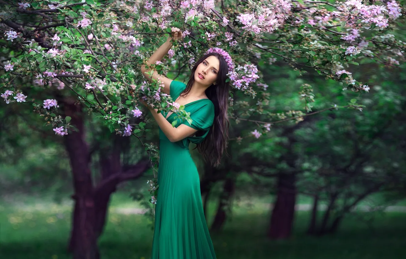 Фото обои дерево, весна, платье, брюнетка, цветение, венок
