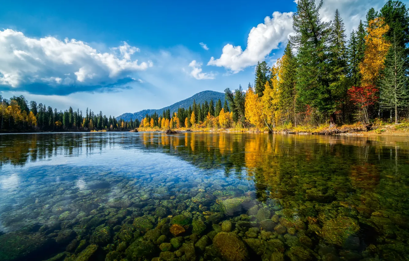 Фото обои осень, лес, облака, горы, озеро, отражение, синева, камни