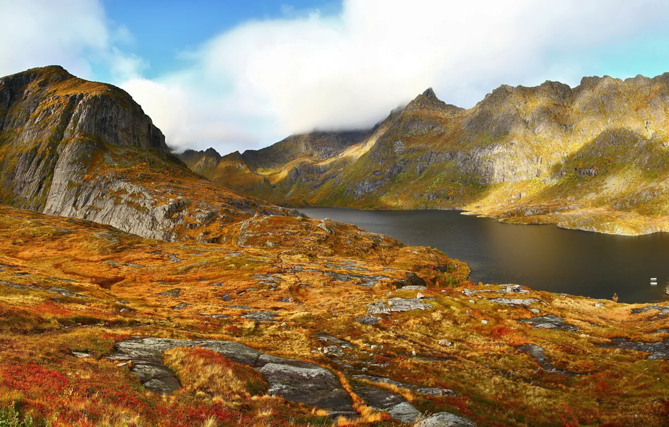 Фото обои осень, трава, озеро, гора, Норвегия, Agvatnet