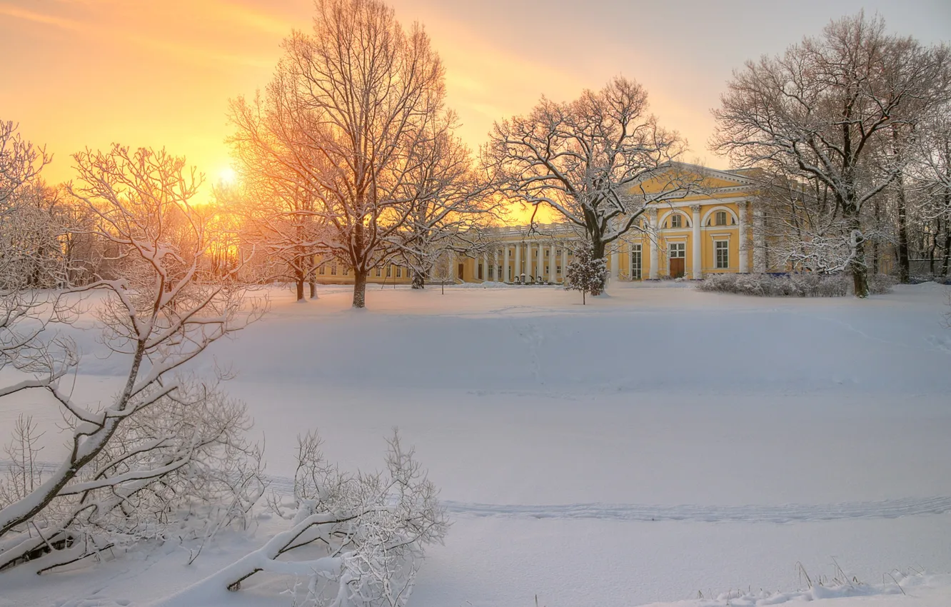 Фото обои зима, снег, деревья, закат, следы, Санкт-Петербург, Россия, Пушкин