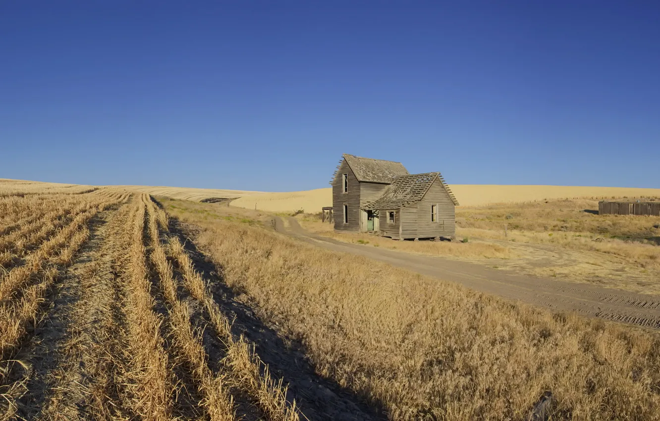 сельскохозяйственное поле с домиком. большое поле дом. большое поле дом. деревянный дом в поле. заброшенный дом в поле.