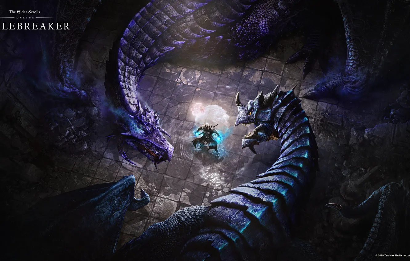 Фото обои Драконы, The Elder Scrolls Online, Dragons, tes online, breton, Бретон, THE ELDER SCROLLS ONLINE: SCALEBREAKER