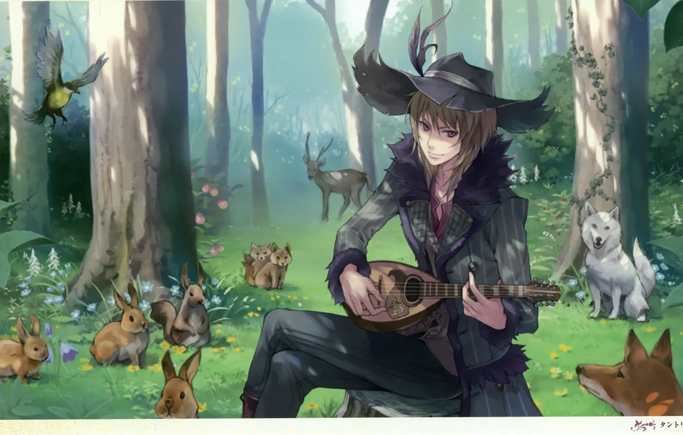 Фото обои волк, шляпа, олень, зайцы, лисы, музыкант, музыкальный инструмент, в лес