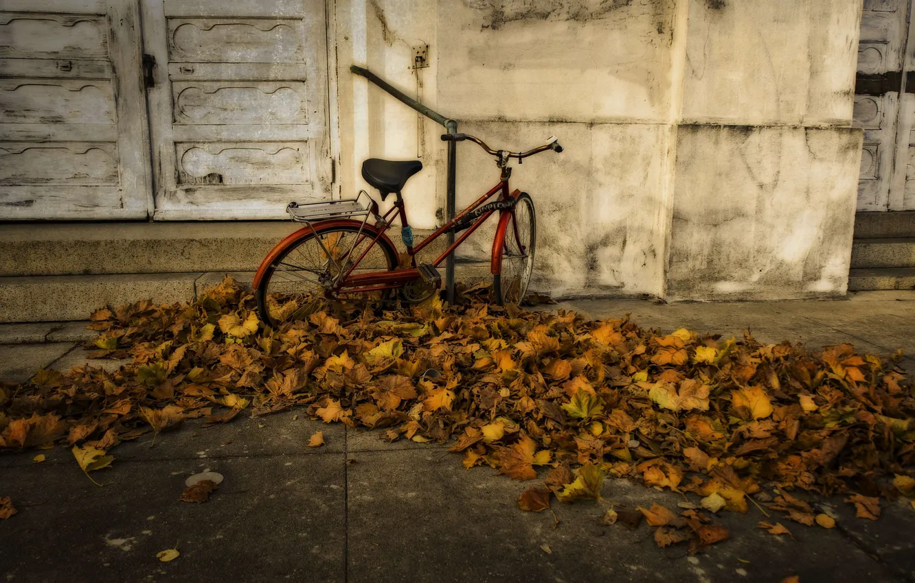 Фото обои осень, велосипед, город, hdr
