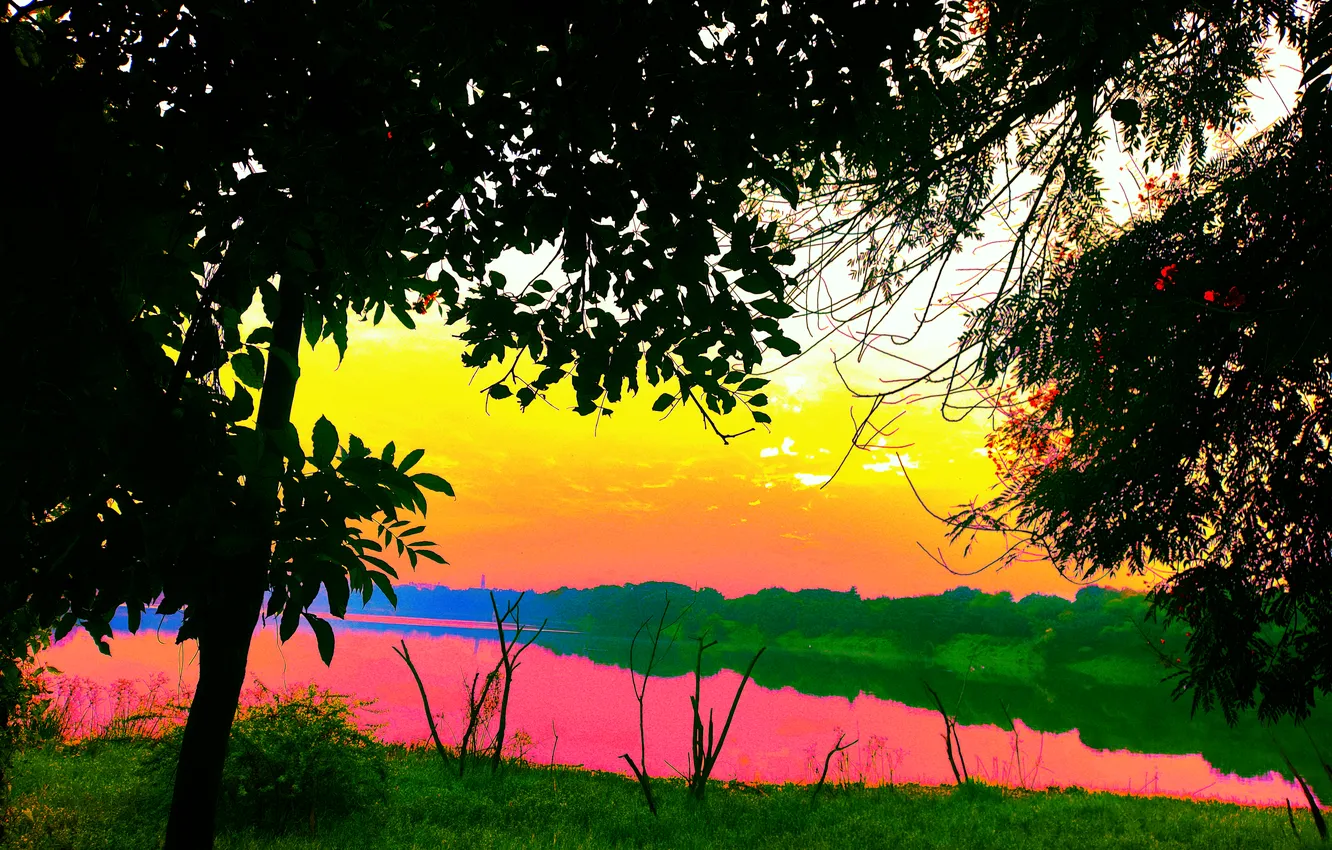 Фото обои Sky, Grass, Sun, Water, Sunrise, Dawn, Morning, Lake