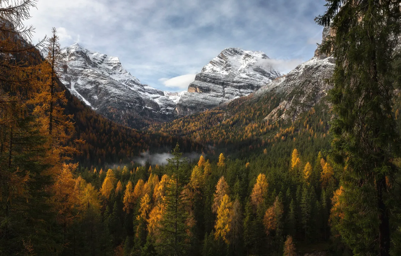 Фото обои осень, лес, небо, облака, пейзаж, горы, туман, скалы