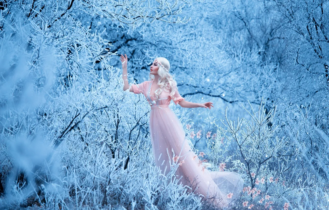 Фото обои зима, лес, девушка, снег, деревья, цветы, ветки, поза