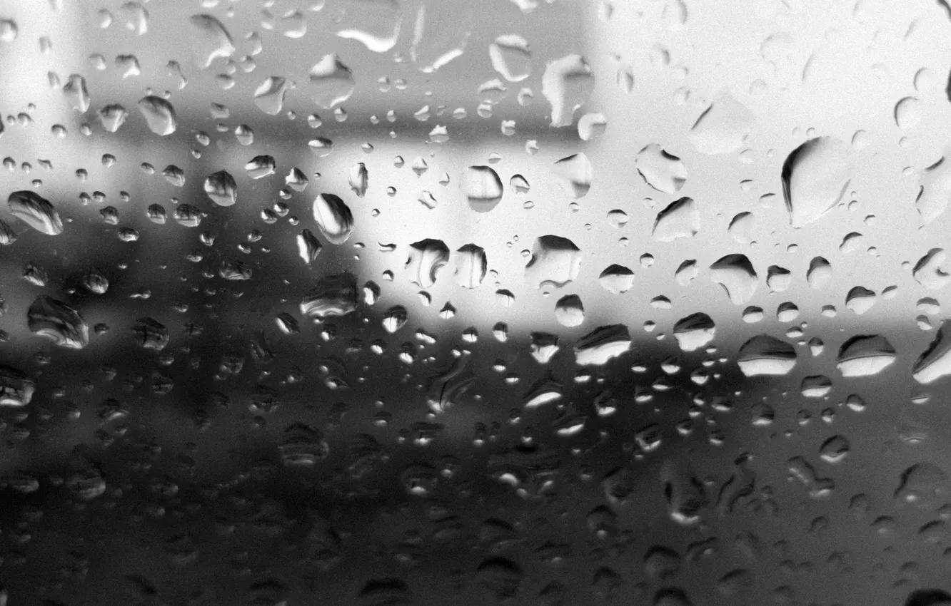 Фото обои осень, небо, стекло, дождь, настроение, Капли, размытый фон, деревья. рекламный щит