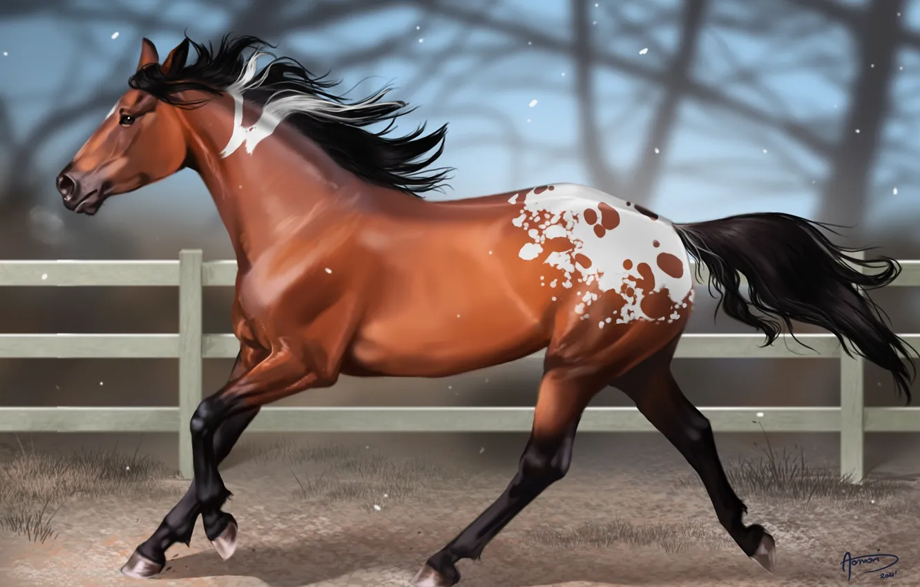 Фото обои снег, конь, лошадь, забор, размытость, арт, пятна, aomori