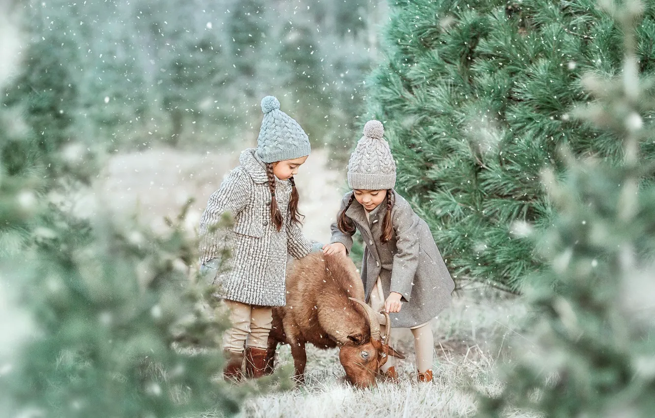 Фото обои лес, снег, деревья, настроение, коза, сестрички, две девочки