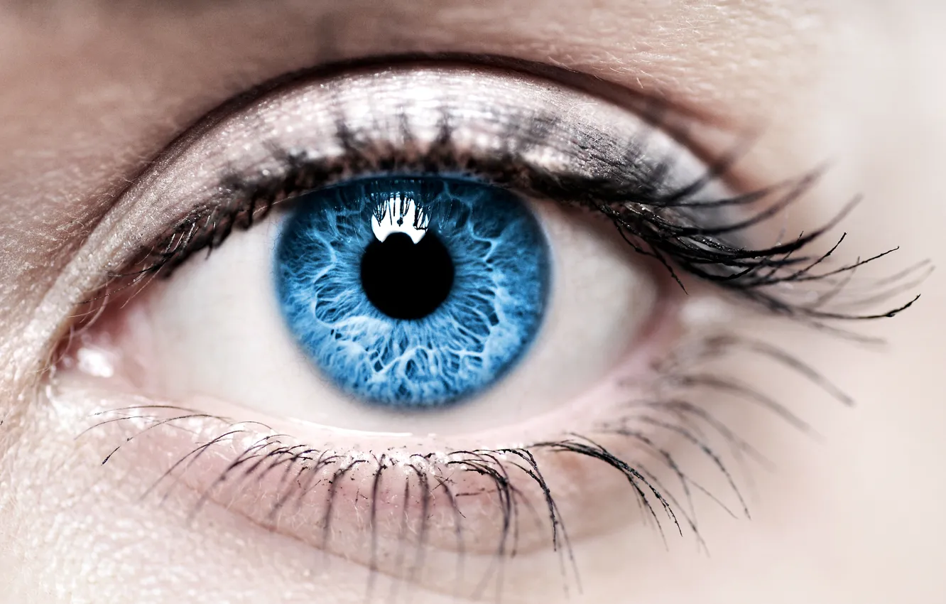 Фото обои woman, blue, eye, iris