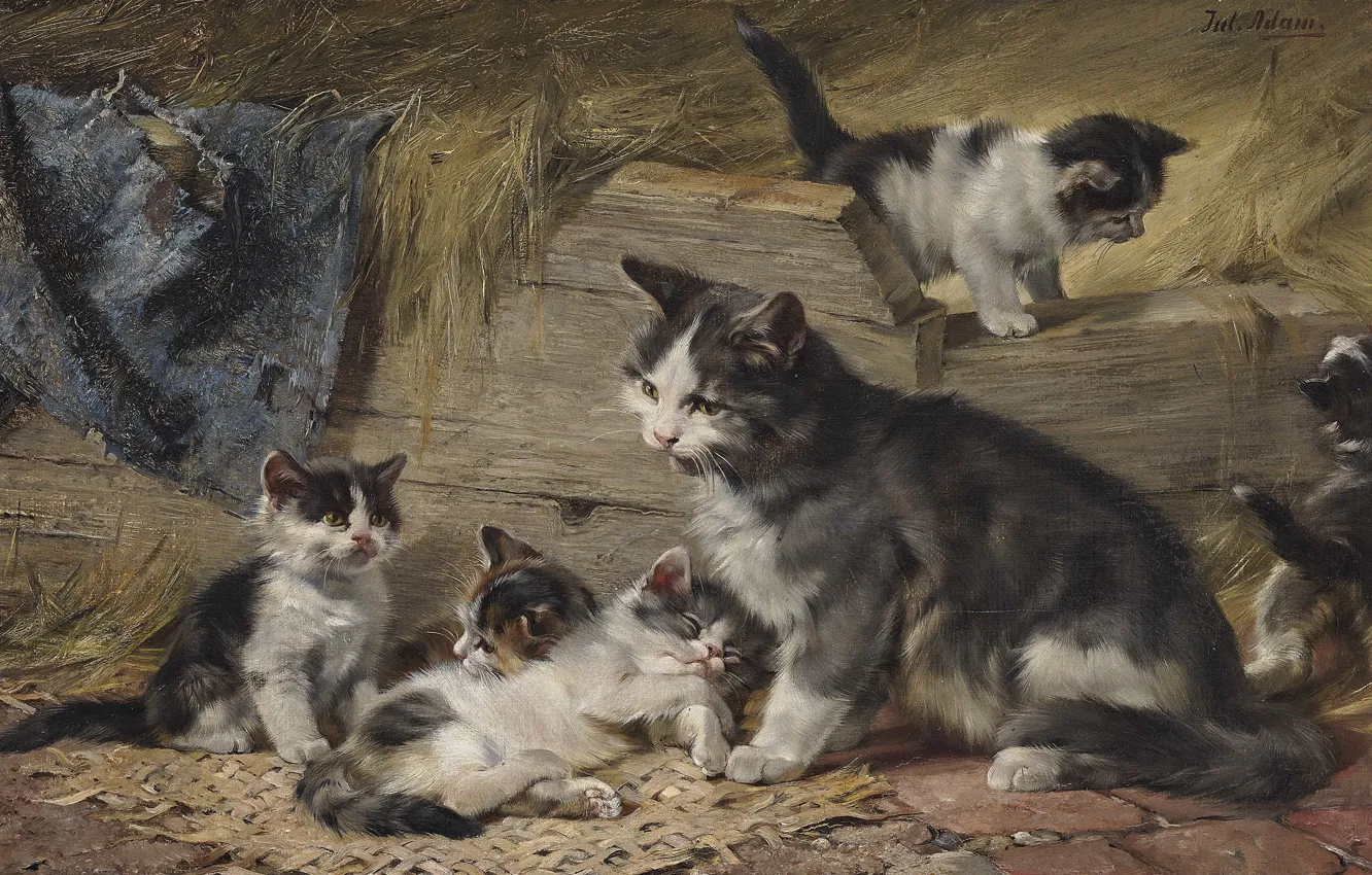 Фото обои German painter, немецкий живописец, oil on canvas, Mother Cat with Five Kittens, Юлиус Антон Адам, …