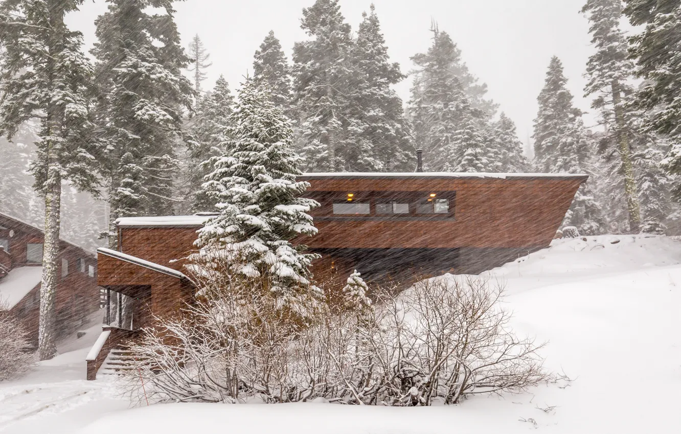 Фото обои Зима, Снег, Елки, Winter, Lake Tahoe, Коттедж, Cottage, Озеро Тахо