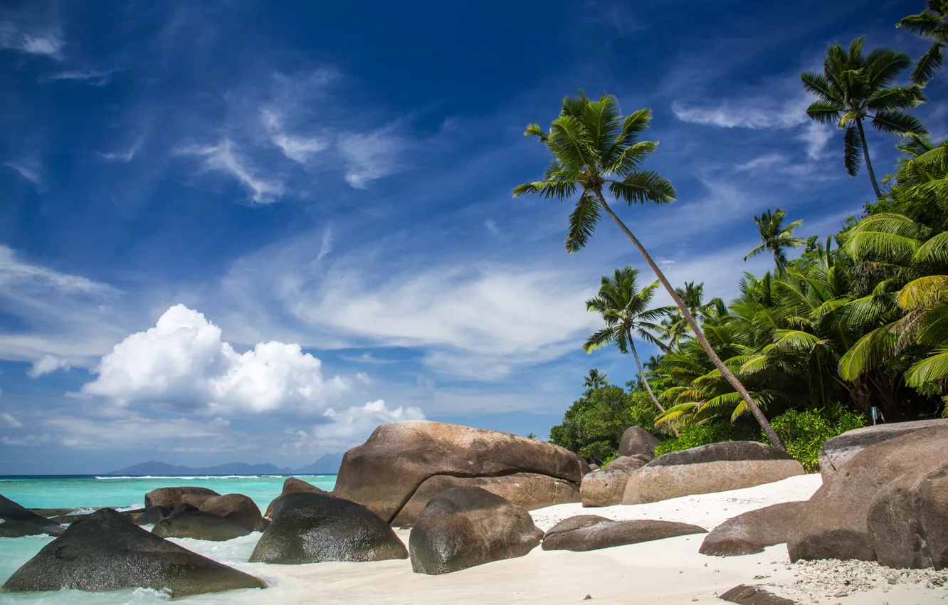 Фото обои пляж, тропики, камни, пальмы, океан, побережье, Сейшельские Острова