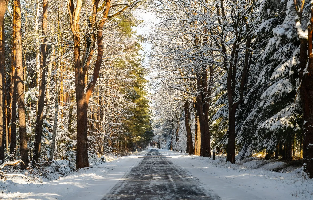 Фото обои road, snow, cold