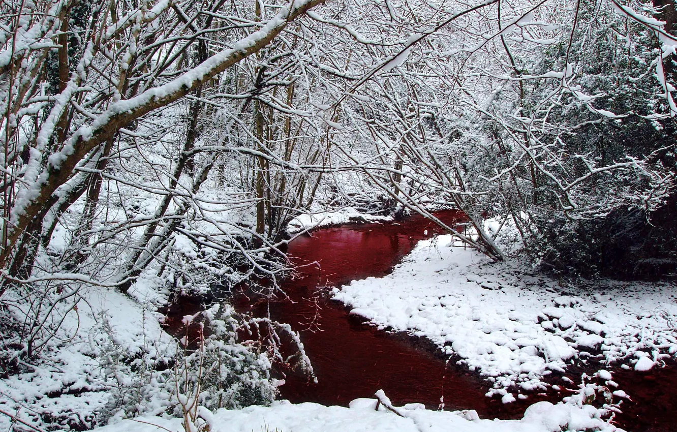 Фото обои зима, лес, снег, деревья, кровь, речка