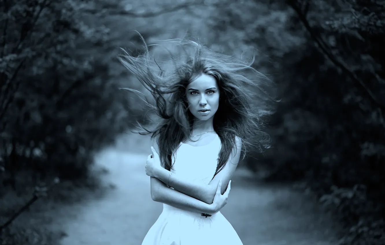 Фото обои ветер, волосы, портрет