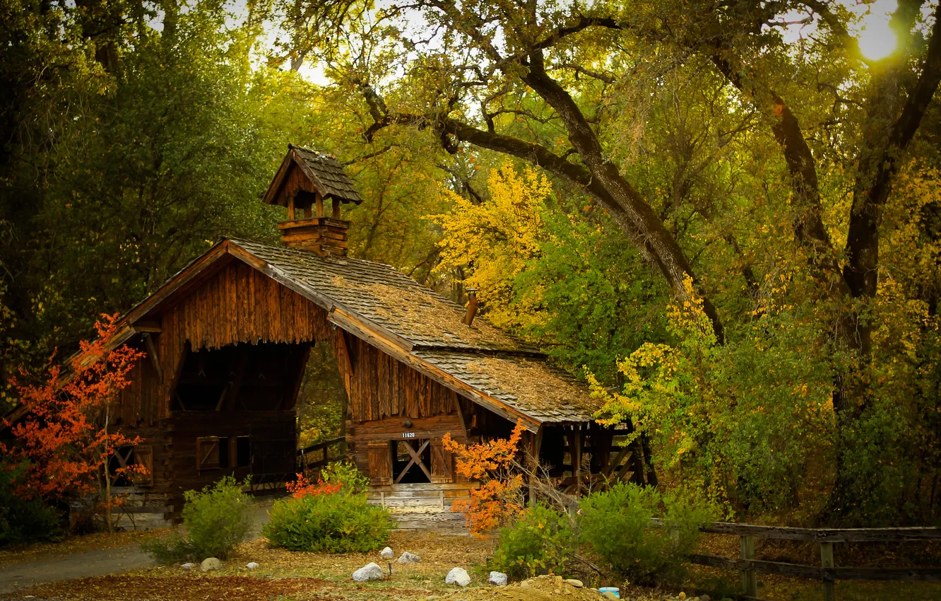 Фото обои осень, лес, деревья, мост, природа, сооружение, сарай