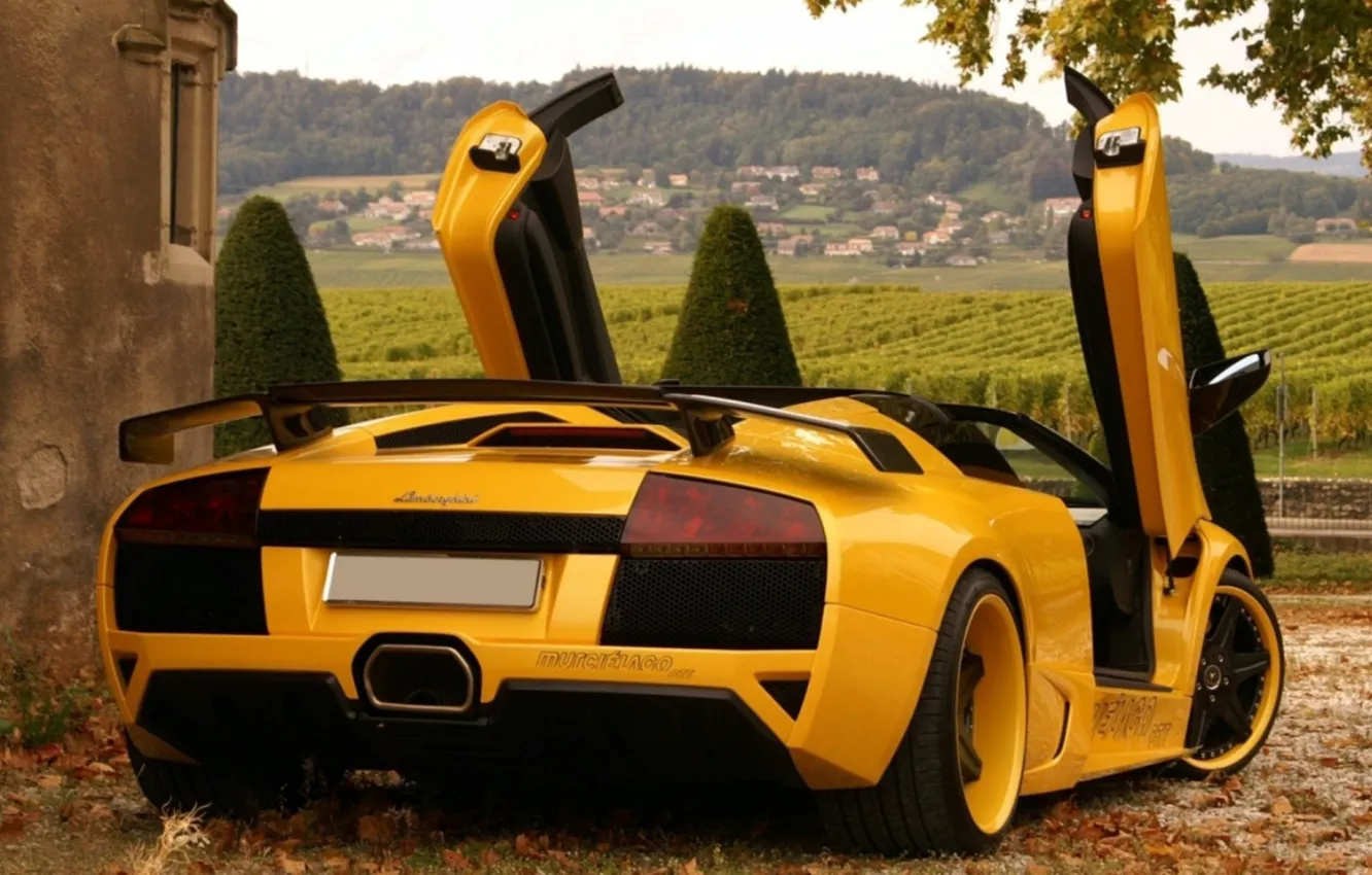 Фото обои жёлтый, тюнинг, lamborghini, murcielago, ламборгини, природа.