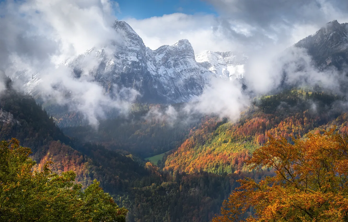 Фото обои осень, лес, солнце, облака, деревья, горы, Швейцария, Альпы