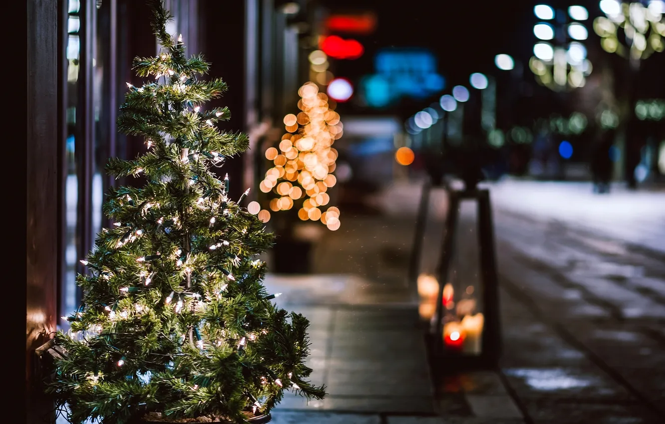 Фото обои зима, свет, ночь, ветки, город, огни, улица, елка