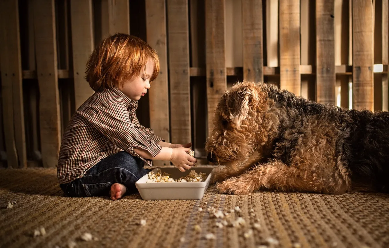 Фото обои еда, собака, мальчик