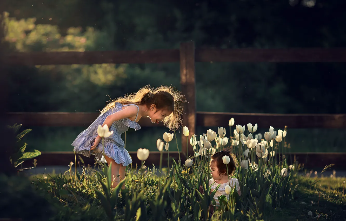 Фото обои цветы, природа, дети, девочки, игра, весна, тюльпаны, Марианна Смолина