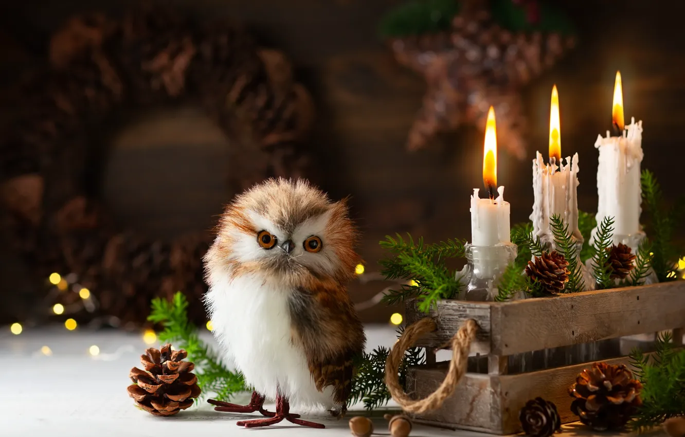 Фото обои свечи, Новый год, композиция, совенок, Svetlana Kolpakova