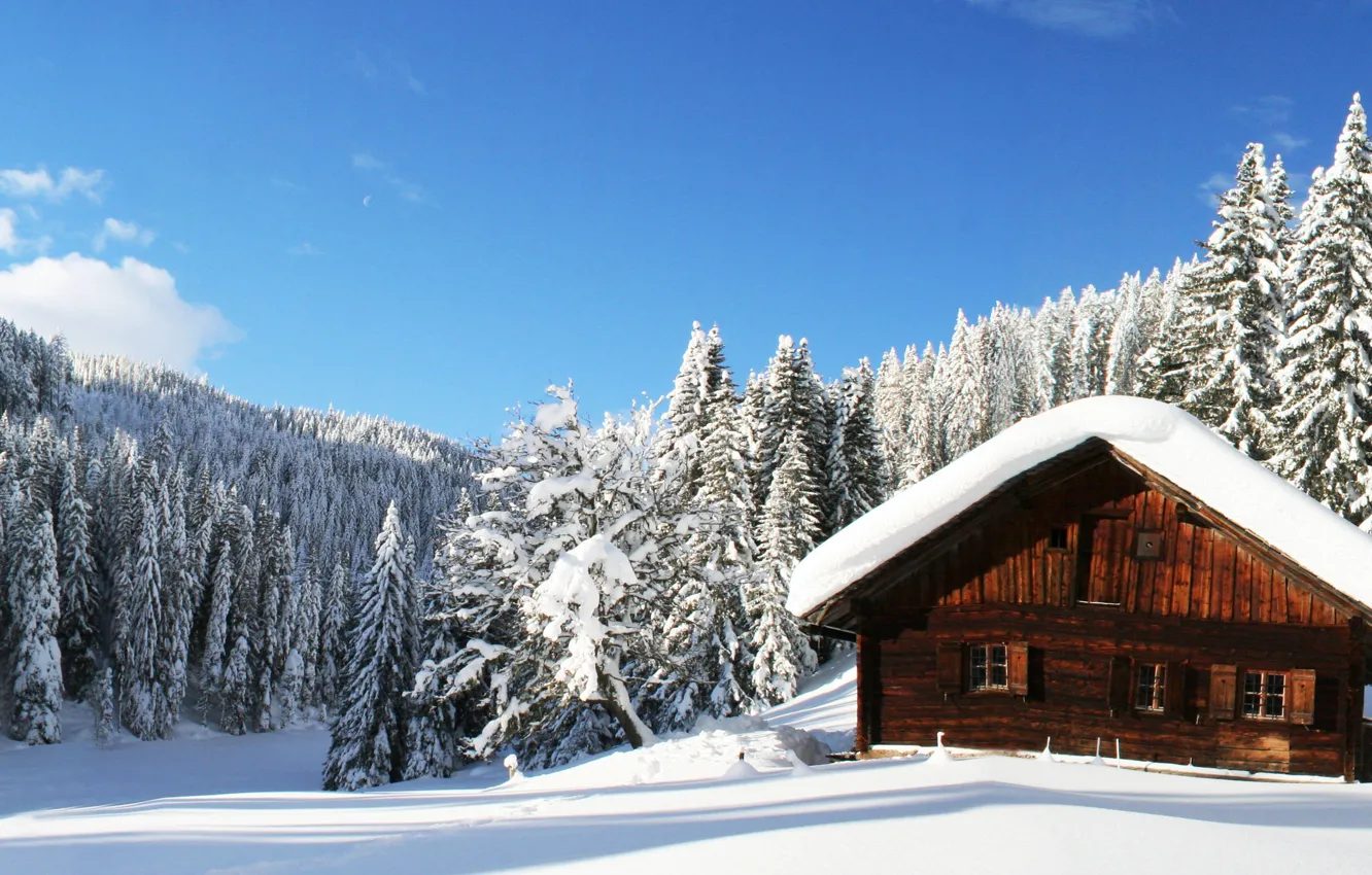Фото обои зима, лес, небо, облака, снег, природа, релакс, панорама