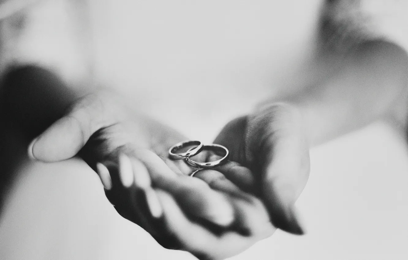 Фото обои кольца, руки, черно-белое, обручальные