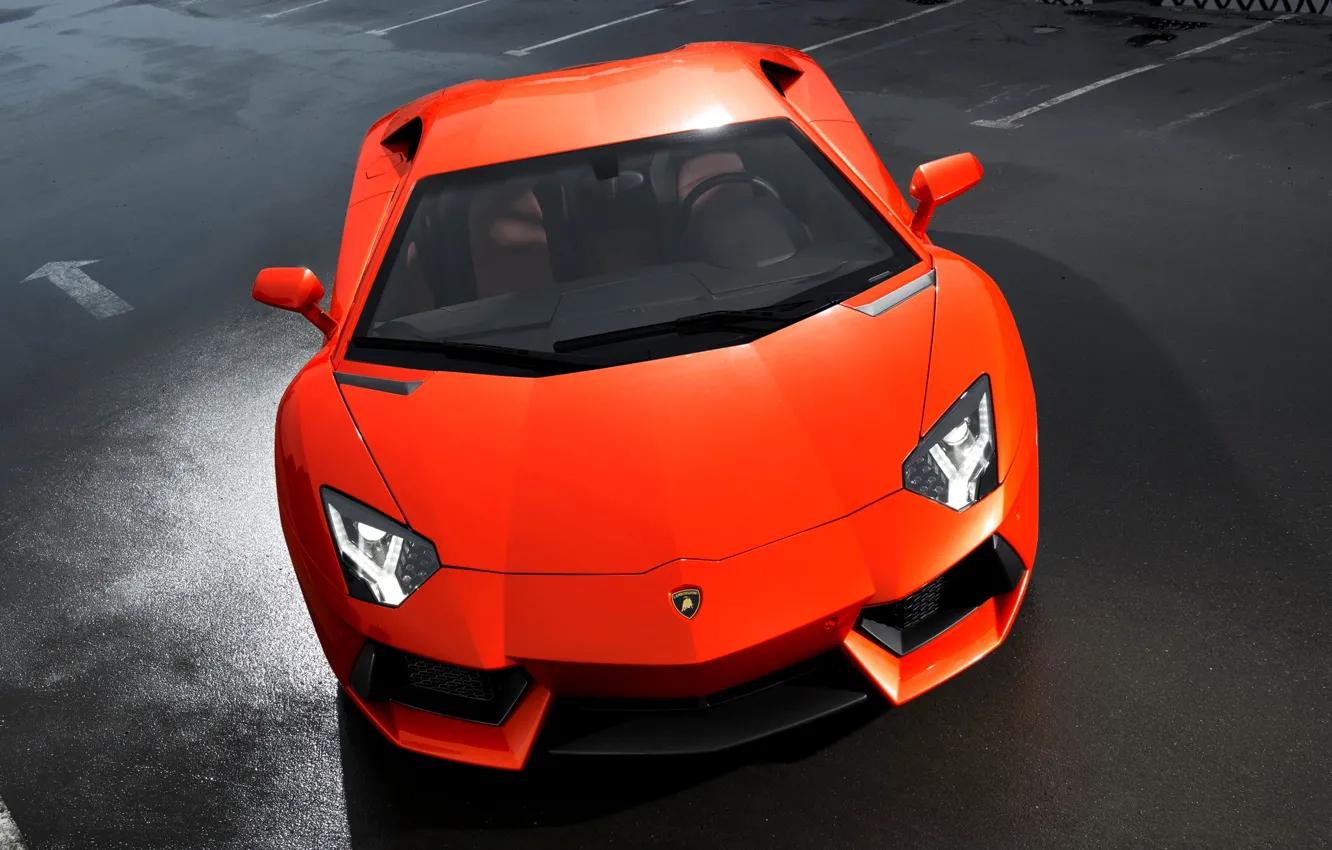 Фото обои Lamborghini, Оранжевый, Капот, LP700-4, Aventador, Спорткар, Ядовиты