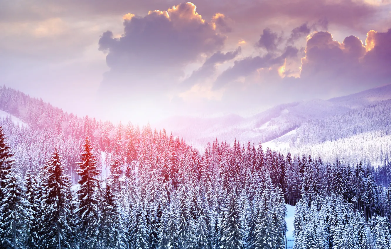 Фото обои зима, лес, небо, облака, снег, деревья, пейзаж, горы