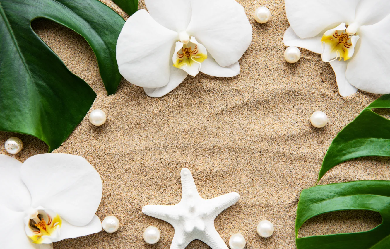 Фото обои песок, листья, цветы, white, орхидея, flowers, sand, orchid