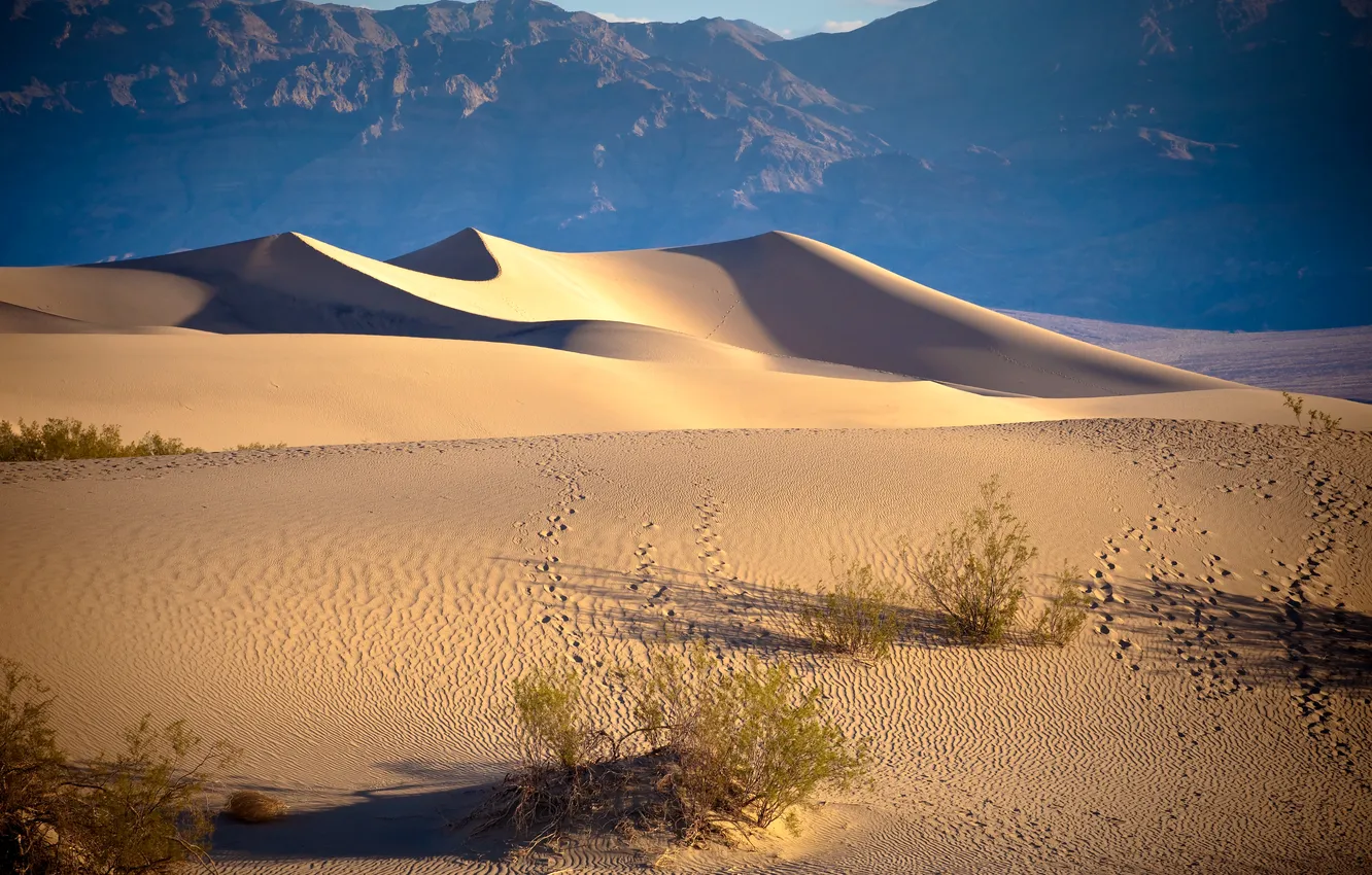 Фото обои пустыня, дюны, California, писок, Stove Pipe Wells