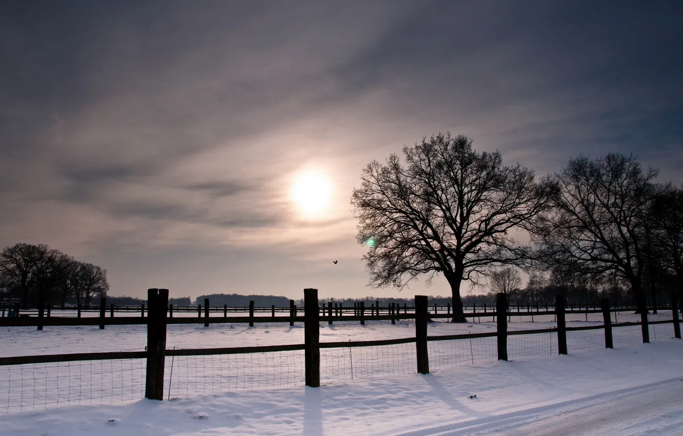 Фото обои зима, поле, закат, забор