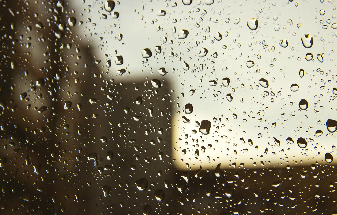 Фото обои осень, капли, дождь, окно